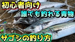 堤防で最も簡単に釣れる青物「サゴシ」の釣り方・アクションを素人が解説【ライトショアジギング】 [upl. by Adnelg]