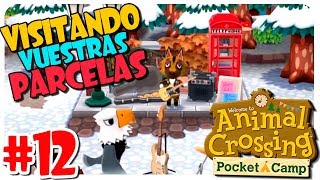 VISITANDO VUESTRAS PARCELAS 12 ANIMAL CROSSING POCKET CAMP PARA MÓVIL [upl. by Ayek]