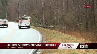 Tree down on power lines in Blount County Alabama during strong winds [upl. by Calia]