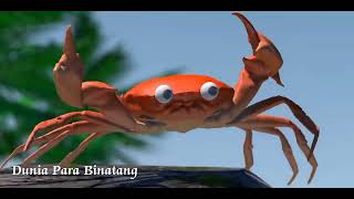 Kepiting Joget Tiktok Crab Dance [upl. by Arihsay]