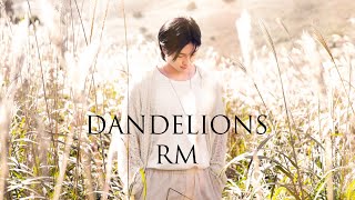 RM  Dandelions  FMV [upl. by Moberg]