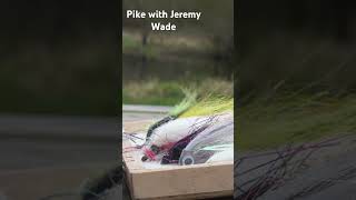 Hunting for pike on the fly with Jeremy Wade [upl. by Fanny]