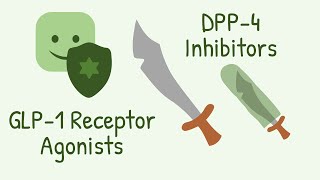 GLP 1 Receptor Agonists and DPP 4 Inhibitors Mechanism of Action [upl. by Balcer507]