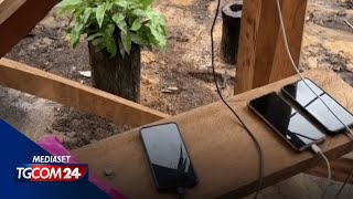 Musk porta Internet in Amazzonia la tribù Marubo non lavora più [upl. by Conal]