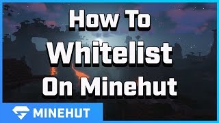 How to Whitelist People  Minehut 101 [upl. by Eivi738]