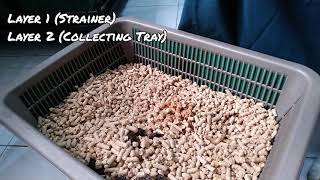 Best method to use pine wood cat litter DIY double layered litter tray [upl. by Htebazle143]