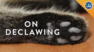 Declawing Jackson Galaxy Just Says No [upl. by Cannell]