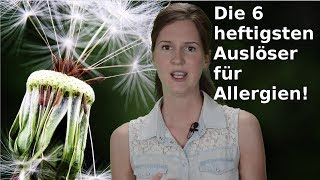 Allergien  Die 6 HEFTIGSTEN Auslöser [upl. by Lorilee325]