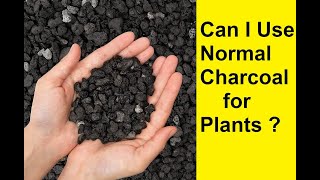 Benefits of Charcoal for Plants [upl. by Annerb]