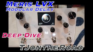 Meris LVX Modular Delay Deep Dive [upl. by Nomyar]