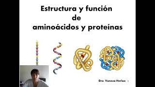 Estructura y función de aminoácidos y proteínas 2021 [upl. by Gabbie984]