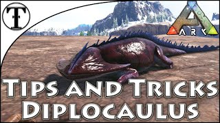 Fast Diplocaulus Taming Guide  Ark  Survival Evolved [upl. by Lissa387]