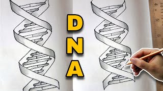 DNA Helix Diagram Drawing [upl. by Elimaj]