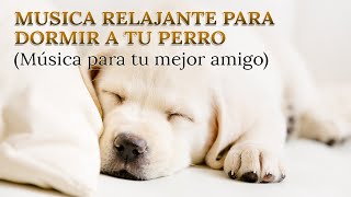 🐶 MUSICA PARA DORMIR PERROS 🐕 Musica Relajante para Perros 🏠Musica para Calmar a TU MEJOR AMIGO [upl. by Asen]