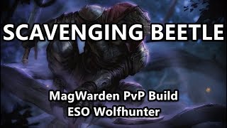 SCAVENGING BEETLE  MagWarden PvP Build  ESO Wolfhunter [upl. by Aleyam]