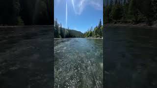 Swinging fies for Atlantic Salmon on the Gaspe Fly Fishing fishing flyfishing flyfisherman [upl. by Ahsitel628]