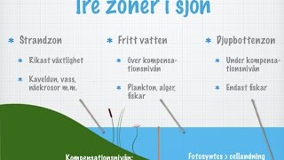 Sjön som ekosystem gammal [upl. by Notgnirrac]