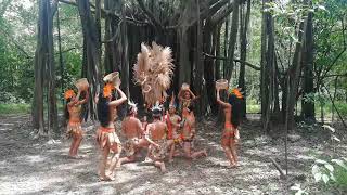 Danza del así  Amazonas Colombiano [upl. by Phare925]