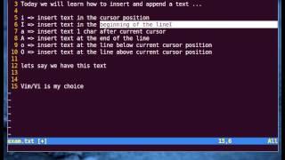 Vim Tutorial  Insert and Append a Text Part 1 [upl. by Steffy]