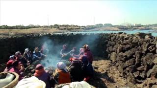 Culture of Jeju Haenyeo women divers Republic of Korea [upl. by Rakel366]