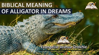 Biblical Meaning of ALLIGATOR in Dream  Dreaming About Alligators Crocodile [upl. by Bentlee]