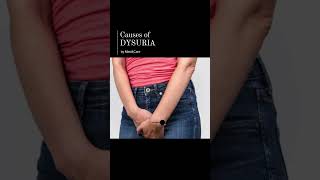 Causes of Dysuria [upl. by Kennedy]