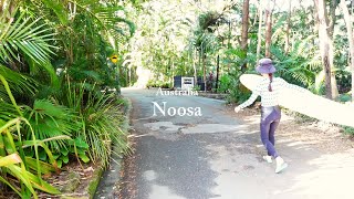 Australia Vlog  Noosa surf trip [upl. by Aidnyl]