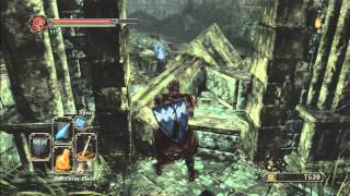 Dark Souls 2 How to get to Shrine of Winter amp Drangleic Castle [upl. by Ellenid802]