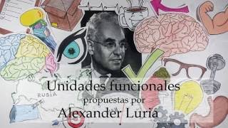 Unidades funcionales de Luria [upl. by Fanchette]