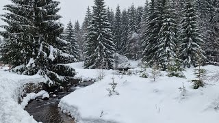 Riesengebirge  Krkonoše [upl. by Arayc]