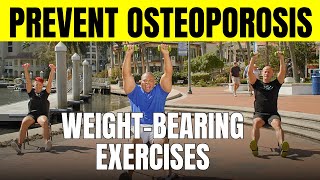 CHAIR WORKOUT 6 WeightBearing Exercises to Prevent Osteoporosis  For Seniors amp Beginners [upl. by Joey]