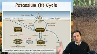 Soil Potassium Ag Nutrient Management [upl. by Konopka]