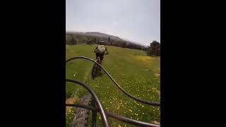 Person Riding Bike Downhill Accidentally Falls and Faceplants  1505072 [upl. by Goodman]