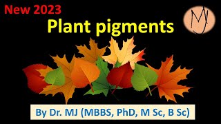 Pigments plants chlorophylls carotenoids flavonoids betalains phytochromes DoctorTutors [upl. by Vinita]