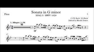 Play along  CPE Bach Sonata in G minor  H542  Bach BWV 1020 [upl. by Rapsac358]