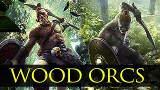 The Wood Orcs of Valenwood  Agile Orsimer Warriors  Elder Scrolls Lore [upl. by Kcirddahc]