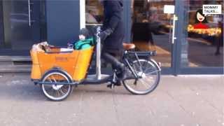 Babboe Curve ELastenfahrrad Bewertung video [upl. by Ecnarrat]