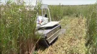 Marsh Master MM2C Cutting Phragmites [upl. by Rettuc913]