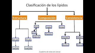 Generalidades y clasificación de los lípidos [upl. by Yllus835]