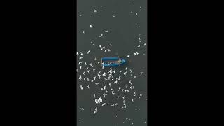 alto chuye bolte gechi toke  whatsapp status shorts [upl. by Garrik746]