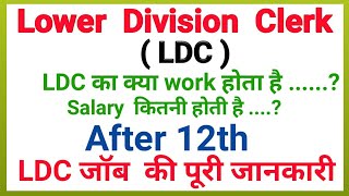 Lower division clerk work  salary  LDC kya hota hai  LDC job profile [upl. by Eliathas239]