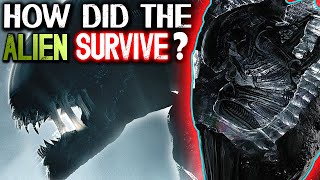 How the Xenomorph Survived in Space Special Cocoon Formation Explained  Alien Romulus Lore [upl. by Hollyanne]