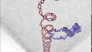 Prenatal Genetic Testing What are chromosome conditions [upl. by Chiquita]