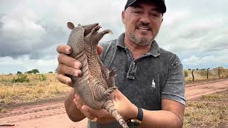 CHARLLES E TIRINGA MOSTRANDO A ROTINA DA FAZENDA DO PIAUÍ PARTE 5  COMÉDIA SELVAGEM [upl. by Yntirb257]