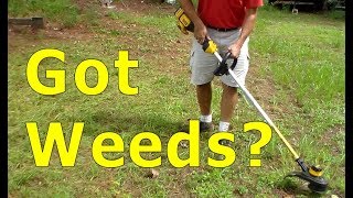 DeWALT 20V MAX Brushless String Trimmer DCST920P1  Unbox and Field Test [upl. by Lenrow550]