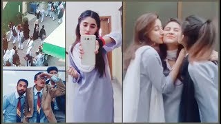 Punjab College Boys And Girls Musically TikTok Part 25  Punjabians Tiktok  PGC Musically [upl. by Ellivnarg]