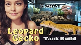 Leopard Gecko Tank Setup  Bioactive Terrarium [upl. by Yekcaj578]