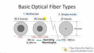 What Is OM4 Fiber and Its Applications [upl. by Oijres198]