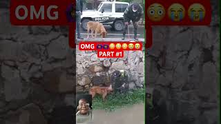 WHEN POLICE SAVES HELPLESS DOG [upl. by Jaymie924]