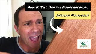 African Mahogany vs Genuine Mahogany Tone 5 Ways to Identify [upl. by Aninay]